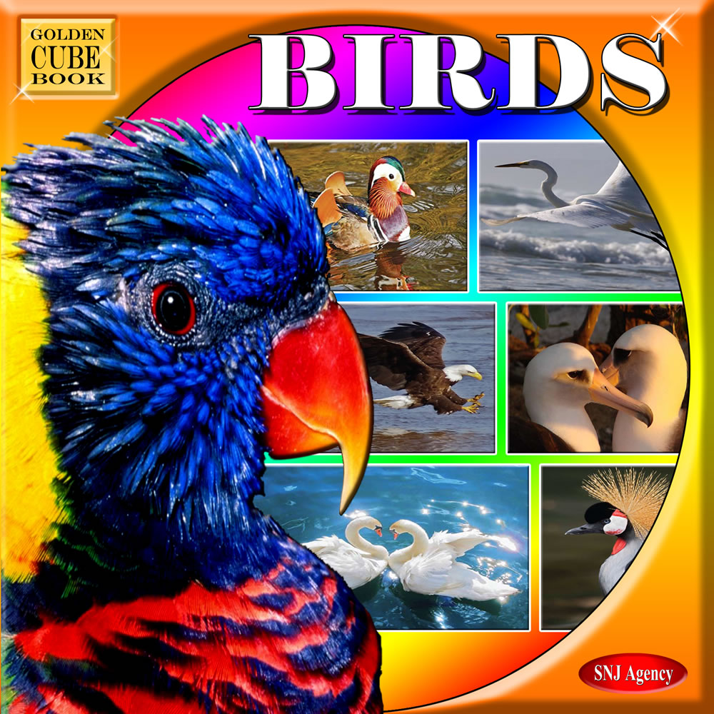 Golden Cube Books - Birds